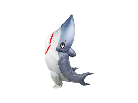 Inflatable Costume---€20.89