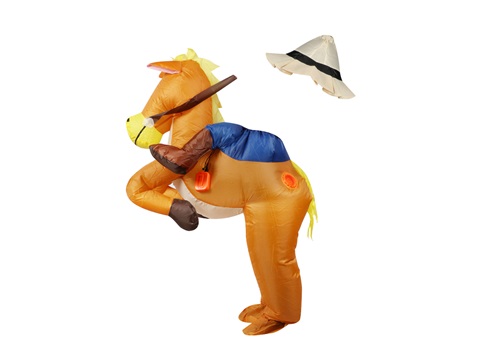 Inflatable Costume---€17.50